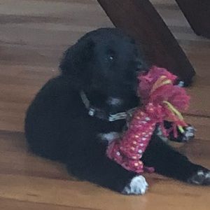 Meet your Posher, Lauryn